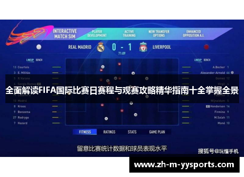 全面解读FIFA国际比赛日赛程与观赛攻略精华指南十全掌握全景